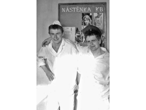 Foto 6